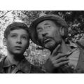 Fekete István: Tüskevár (1957) - részlet